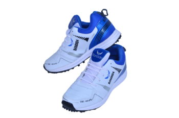 RANOIDA CRICKET ALLROUNDER SHOE